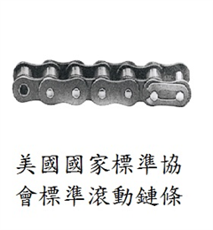 ANSI standard roller chains